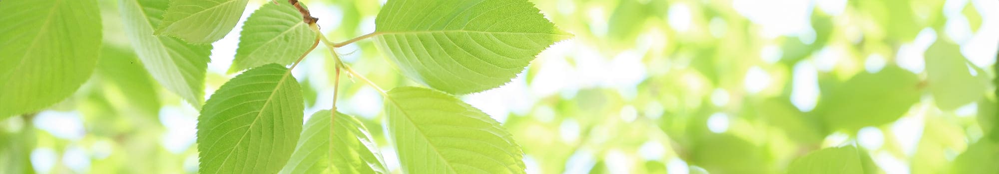 プライバシーポリシー